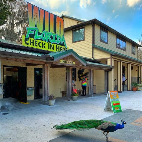 Wild Florida Drive-thru Safari Airboats & Wildlife Park - The Western ...