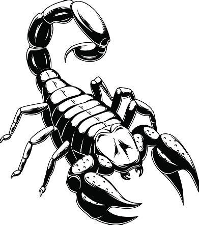 scorpion silhouettes - Clip Art Library