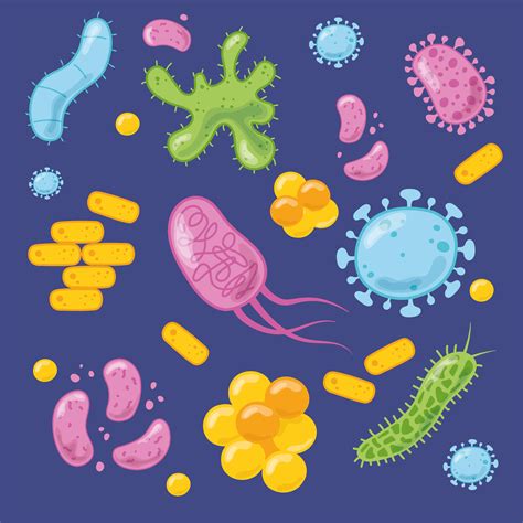 Cartoon style virus, bacteria, disease cells set 1233657 Vector Art at ...