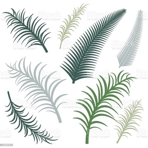 Different Versions Of Palm Branches Vector Image Eps 10 Stock Illustration - Download Image Now ...