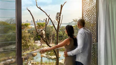 Overnight Accommodation At Our Zoos | Taronga Conservation Society Australia