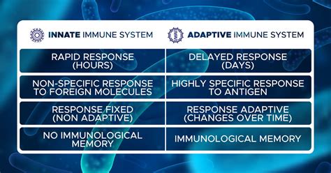 adaptive immune system - Mistery Gap