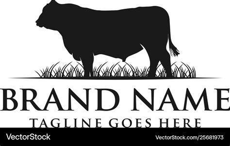 Angus cow logo Royalty Free Vector Image - VectorStock