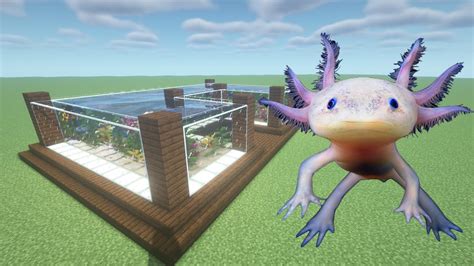 Minecraft Axolotl Enclosure Ideas