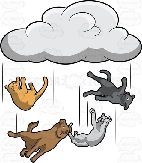 Raining Cats And Dogs | Dog cat, Raining cats and dogs, Cats