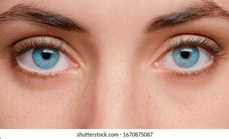 Close Photo Blue Eyes Girl Near Stock Photo 1670875087 | Shutterstock