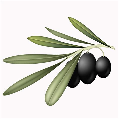 Free Olive Branch, Download Free Olive Branch png images, Free ClipArts on Clipart Library