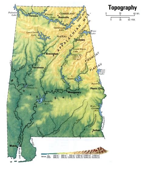 Alabama Topography Map | Large and Attractive