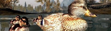 Farm Animals and Co. at Skyrim Nexus - Mods and Community