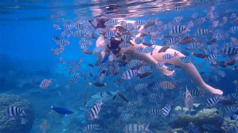 Snorkeling at Redang island - Malaysia 2016 - YouTube