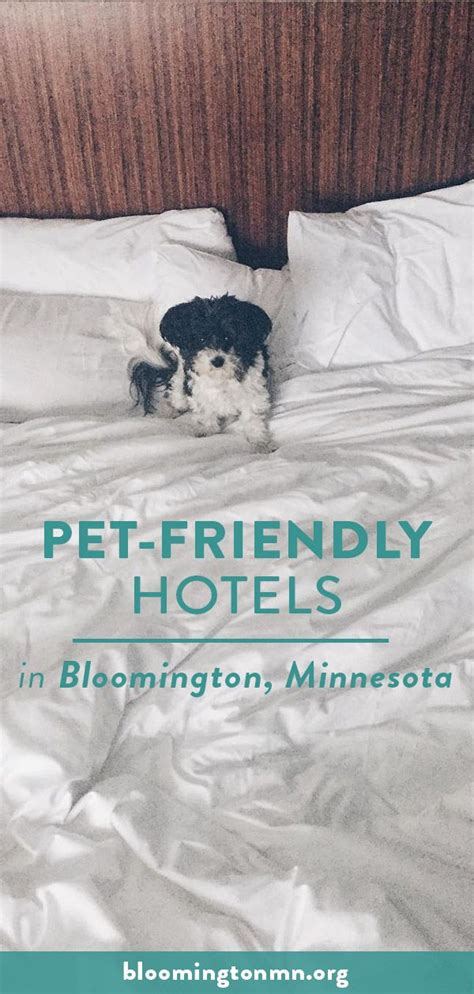 Check out this list of Bloomington, MN hotels that allow pets! Bring your dog or cat on your ...