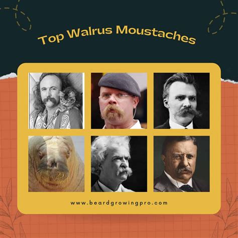 How to grow a walrus moustache [Expert insider tips]