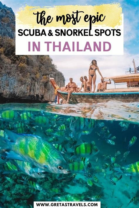 The BEST Places To Scuba Dive & Snorkel In Thailand