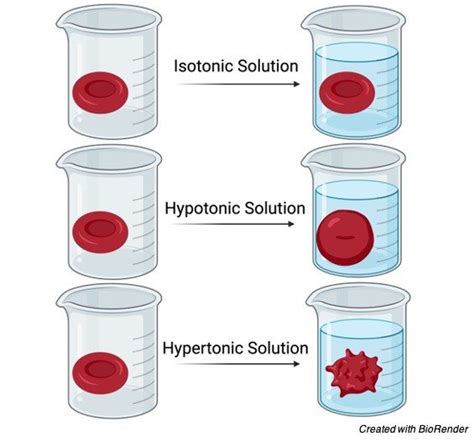 Hypotonic Example