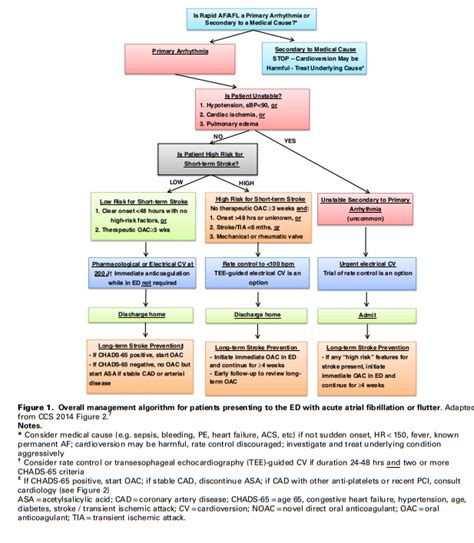 What Is The Best Treatment For Atrial Flutter?