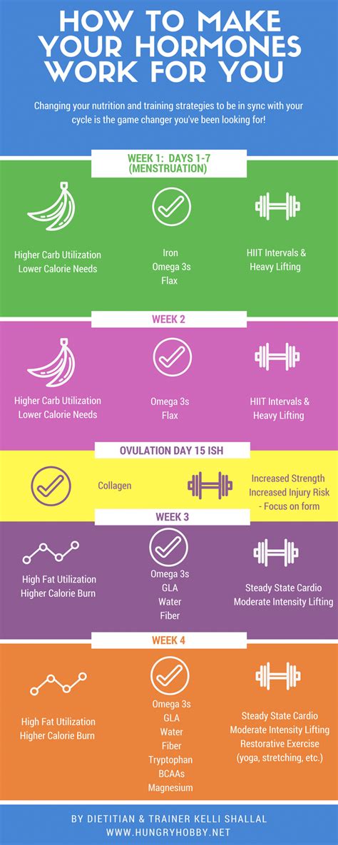 Menstrual Cycle Stages & Appetite, Training, Nutrition Tips