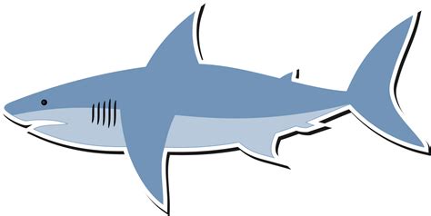 Marine Biology,Shark,Organism PNG Clipart - Royalty Free SVG / PNG