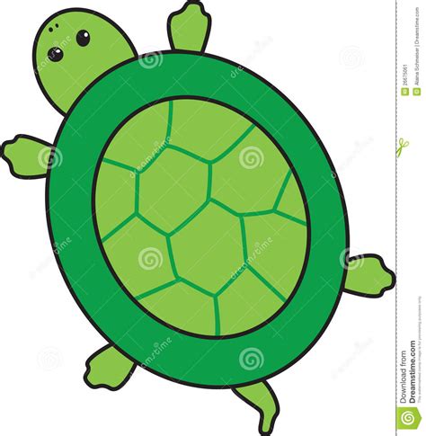 Turtle shell clipart 20 free Cliparts | Download images on Clipground 2024