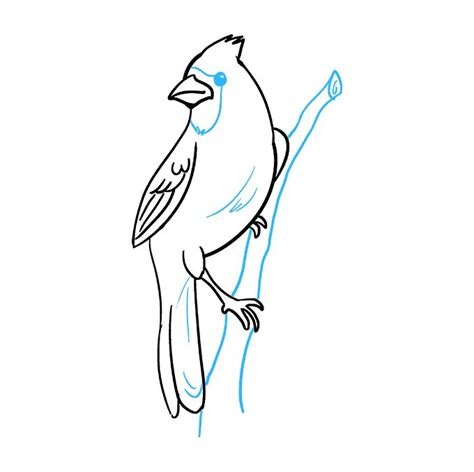 How to Draw a Cardinal Bird - Really Easy Drawing Tutorial | Bird ...