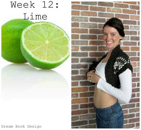 12 Weeks Pregnant Diet Book - conposts