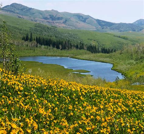 Jarbidge Nevada | Jarbidge Wilderness Area | Jarbidge History