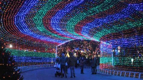 Austin Trail of Lights Ranked among Top Displays in the U.S.