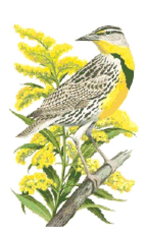 √ Nebraska State Bird Coloring Page : State Birds Coloring Pages Free ...