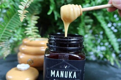 Manuka Honey: Why you need to include it in your Diet Right Away - WTFacts