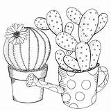 Cactus And Succulent Coloring Pages sketch template