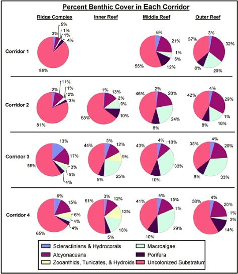 Benthic cover (%) for each sampling location on each reef in each corridor | Download Scientific ...