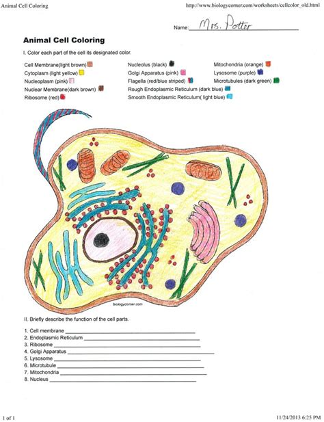 Biologycorner Com Animal Cell Coloring – Through the thousands of ...