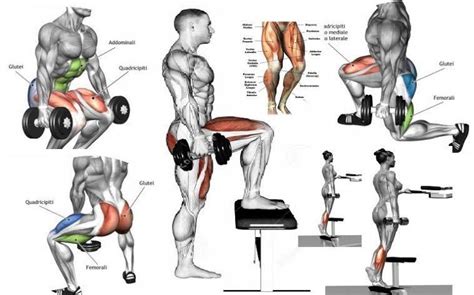 Will 4 Exercises Build And Strengthen Glutes And Hamstrings? Yes! We ...