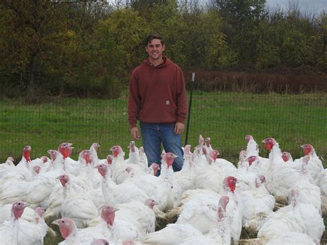 Ridgecrest Turkey Farm re-opens – Westside News Inc