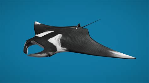 Manta Ray Birostris (animated) - Download Free 3D model by Violaine ...