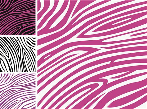 🔥 [50+] Zebra Stripes Wallpapers | WallpaperSafari