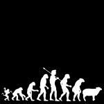 Human Evolution Free Stock Photo - Public Domain Pictures