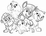 Paw Patrol Outline Coloring Page 530  Coloringlivecom sketch template