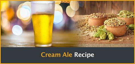 How To Make Cream Ale in 2 Easy Steps: Our Homebrew Recipe