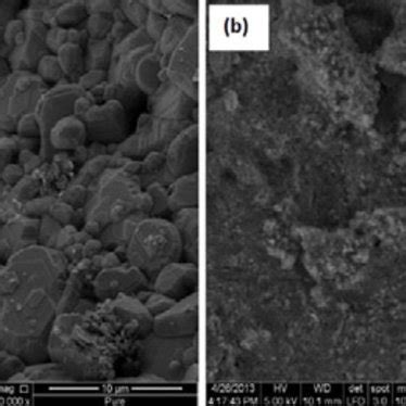 Porous medium surface morphology before (a) and after (b) wash coating ...