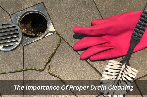 The Importance Of Proper Drain Cleaning | BUILD