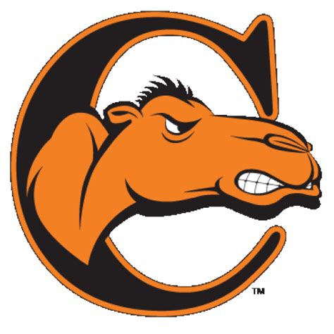 logo_-campbell-university-fighting-camels-camel-head-c | NRBA