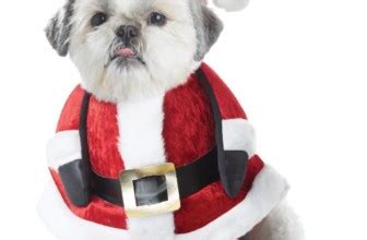 Santa Paws Costume | Christmas