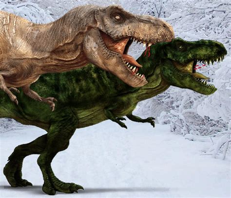 two dinosaurs are fighting in the snow