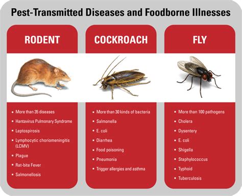 Don’t Let Your Bottom Line Get Burnt by Pest-Transmitted Diseases and Foodborne Illnesses | Orkin