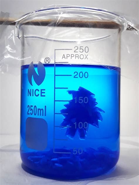 The Extended Guide to Growing Copper Sulfate Crystals