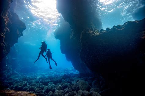 What Is Scuba Diving? (Explained Briefly)