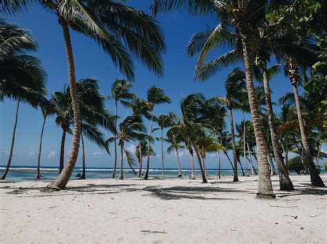 Les plus belles plages de Guadeloupe | Où se baigner en Guadeloupe