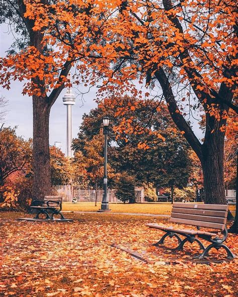 Autumn wonderland ~ Toronto, Canada Photo: @jayeffex Congrats! Founders: @our... | Autumn ...