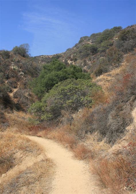 Altadena Crest Trail stock photo. Image of hill, pasadena - 46314608