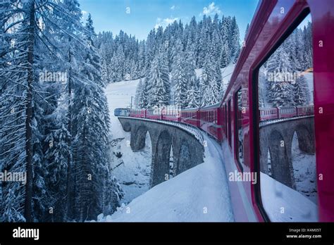 Bernina Express passes through the snowy woods Filisur Canton of ...